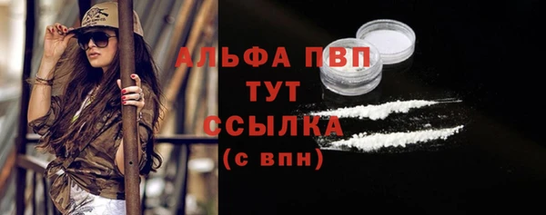 PSILOCYBIN Елизово
