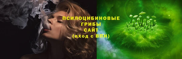 PSILOCYBIN Елизово