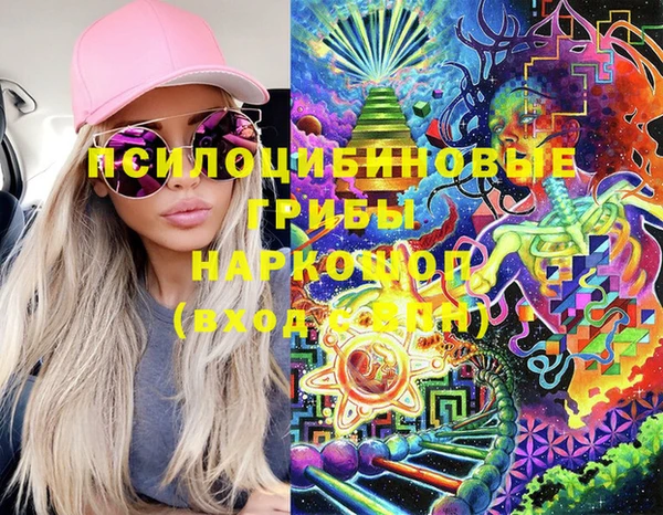 марки nbome Ельня