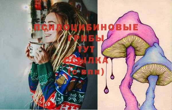PSILOCYBIN Елизово