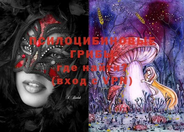 PSILOCYBIN Елизово