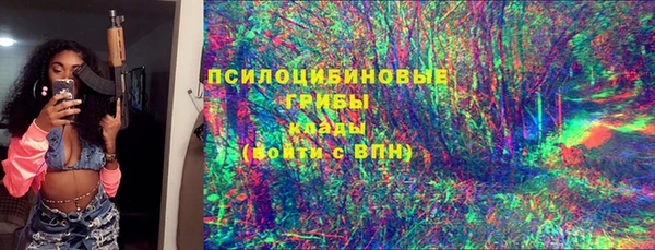 PSILOCYBIN Елизово
