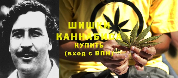 PSILOCYBIN Елизово