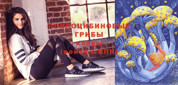 дурь Елабуга